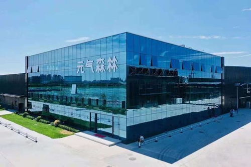 研發驅動，品質為王 元氣森林如何通過市場調研鑄造更好的產品